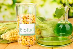 Buckland Valley biofuel availability