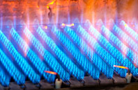 Buckland Valley gas fired boilers